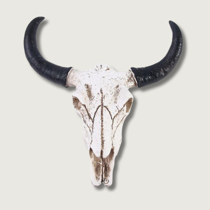Mosrugs | HornAura - Longhorn Skull for Your Interior