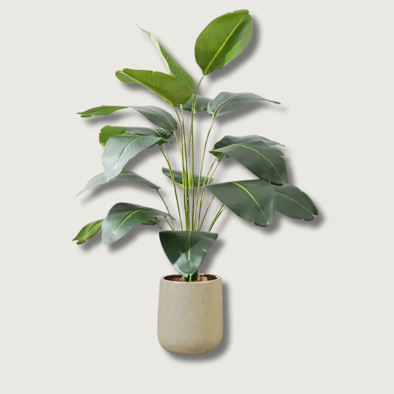 Mosrugs | LeafVibe - Banana Tree Decoration