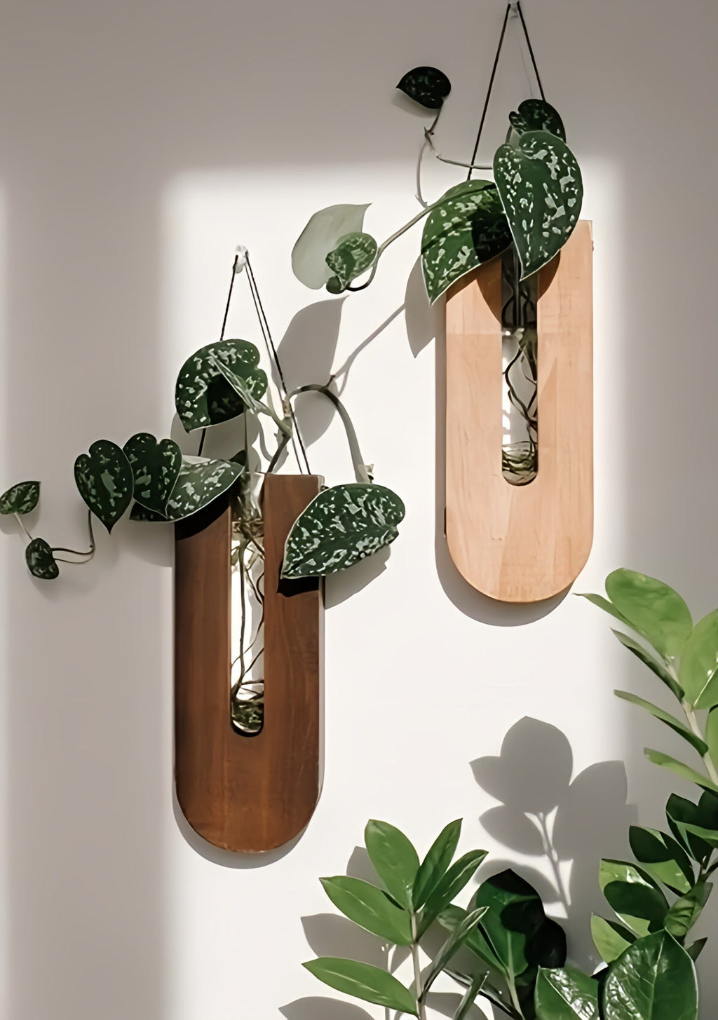 Mosrugs | WoodFlora | Rustic Wooden Wall Flower Holder Set – Creative Plant Display for Indoor Spaces