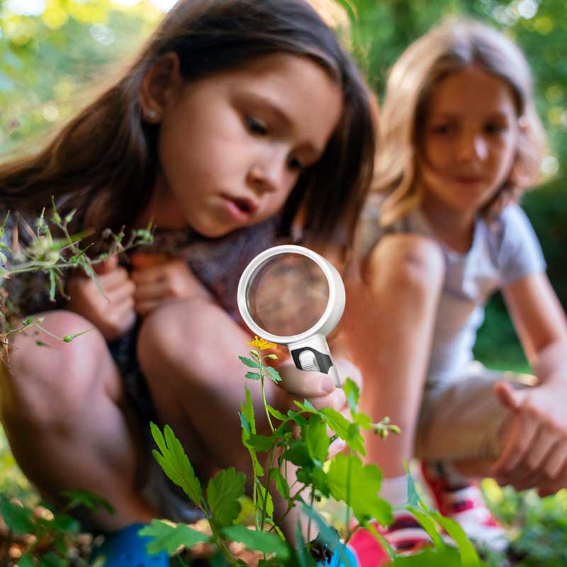 Mosrugs | Optical Magnifying Glass