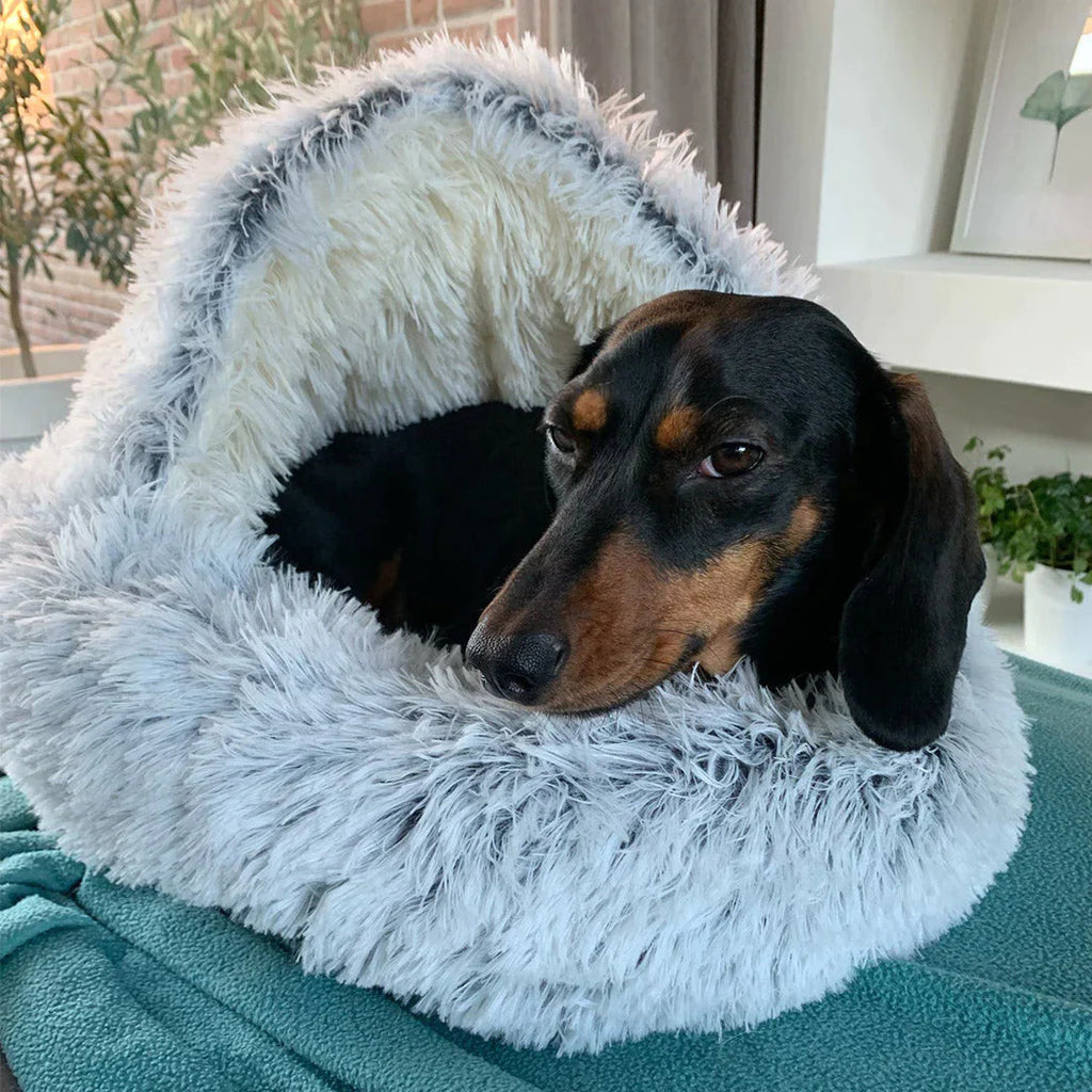 Mosrugs | Luxury Calming Dog Bed – Soft, Supportive & Stress-Relieving Pet Bed for Dogs