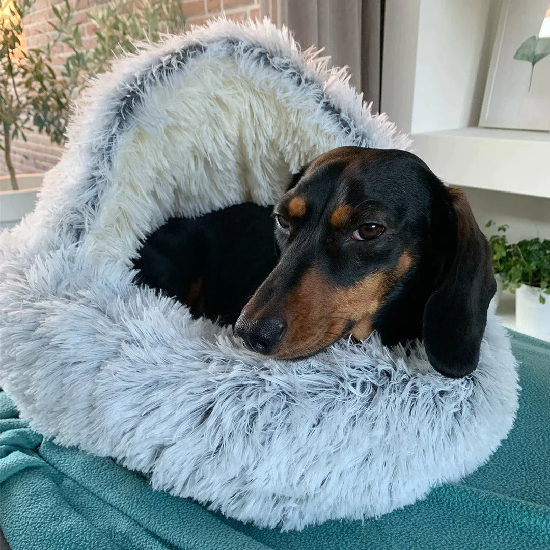 Mosrugs | Luxury Calming Dog Bed – Soft, Supportive & Stress-Relieving Pet Bed for Dogs