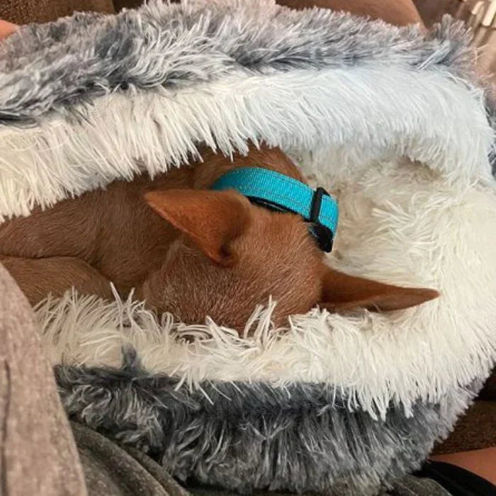 Mosrugs | Luxury Calming Dog Bed – Soft, Supportive & Stress-Relieving Pet Bed for Dogs