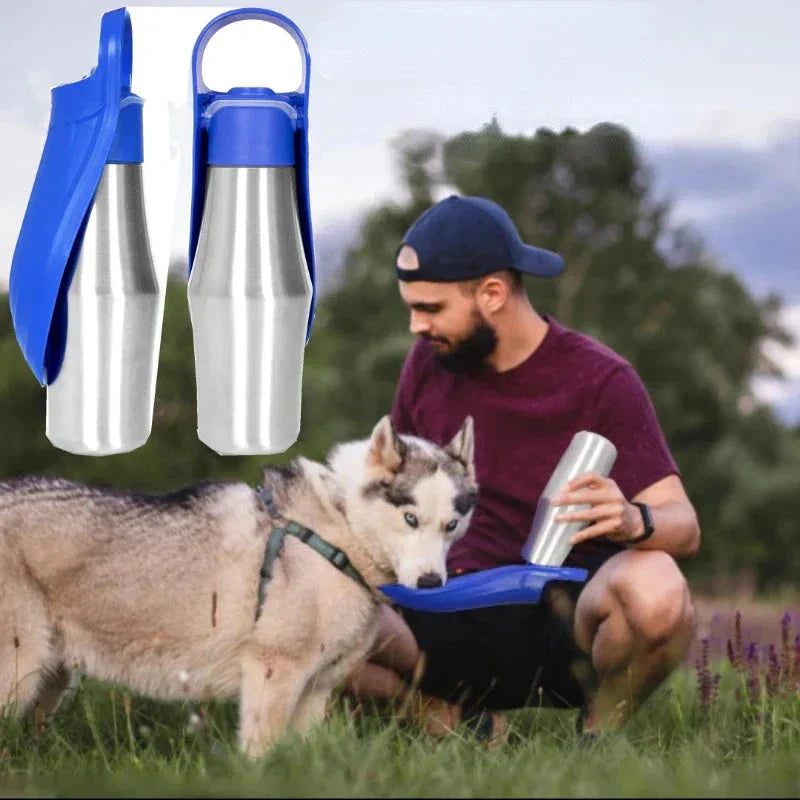 Mosrugs | Insulated Dog Water Bottle | Stainless Steel, Leak-Proof & Perfect for Travel and Outdoor Adventures