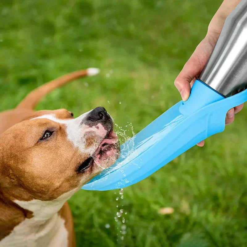 Mosrugs | Insulated Dog Water Bottle | Stainless Steel, Leak-Proof & Perfect for Travel and Outdoor Adventures
