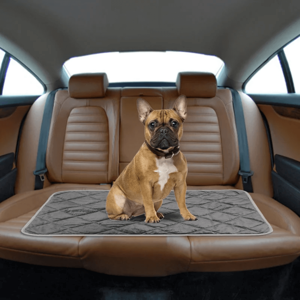 ToastyPaws Dog Self-Heating Pad